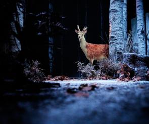 Neige © Christophe Raynaud de Lage